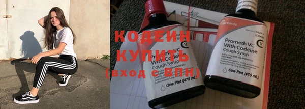 мяу мяу кристалл Гусь-Хрустальный