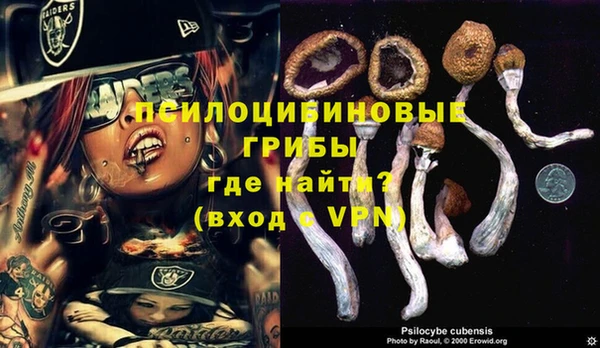 мяу мяу кристалл Гусь-Хрустальный