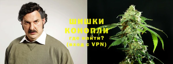 мяу мяу кристалл Гусь-Хрустальный