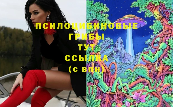 мяу мяу кристалл Гусь-Хрустальный
