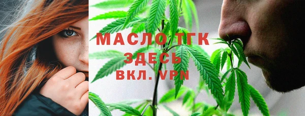 мяу мяу кристалл Гусь-Хрустальный