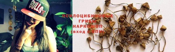 наркотики Гусев