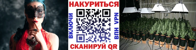 Купить закладки Приволжск Конопля семена